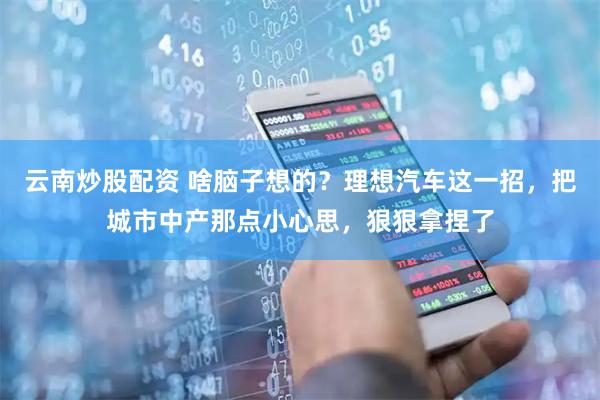 云南炒股配资 啥脑子想的？理想汽车这一招，把城市中产那点小心思，狠狠拿捏了