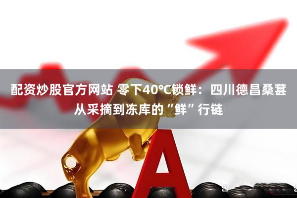 配资炒股官方网站 零下40℃锁鲜：四川德昌桑葚从采摘到冻库的“鲜”行链